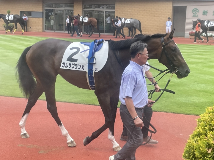 新馬戦 ガルサブランカ