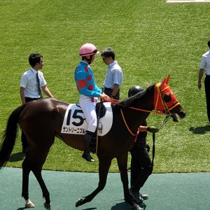 2024/6/15 3歳未勝利(牝)パドック