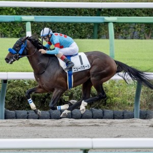 2024/9/16 3歳以上1勝クラス