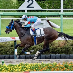 2024/9/16 3歳以上1勝クラス