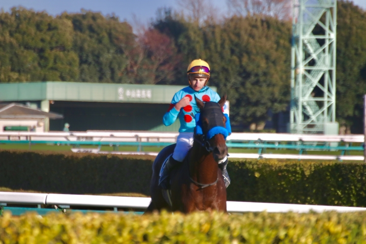 2024年12月 ニューバラード