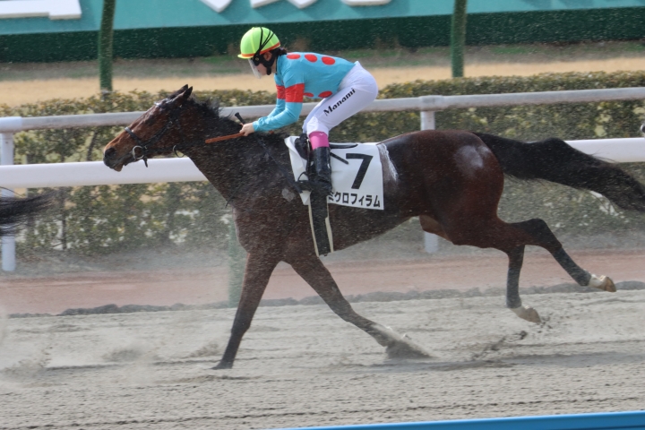 2025年2月 ミクロフィラム