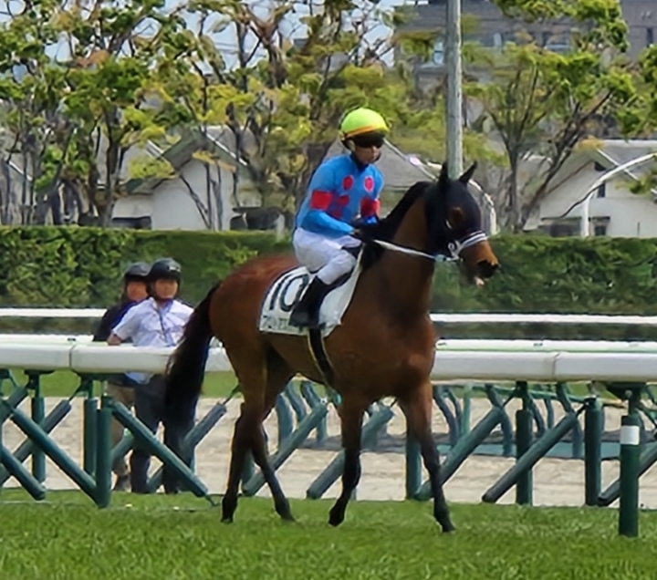2024/4/21 3歳未勝利(牝) プロトアステール