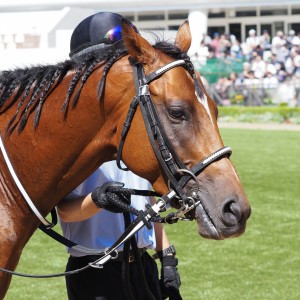 2024/9/7 中山 3歳以上1勝クラス