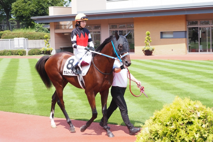 2023/7/30 新潟 2歳未勝利 ホルトバージ