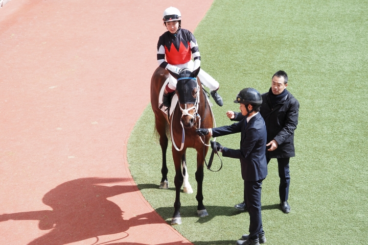 2024/3/2 阪神 3歳1勝クラス ホルトバージ