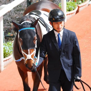 2024/3/2 阪神 3歳1勝クラス