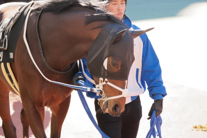 2025/1/25 中京 刈谷特別(2勝クラス) ホルトバージ