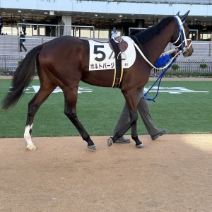 2024/1/8 3歳1勝クラス