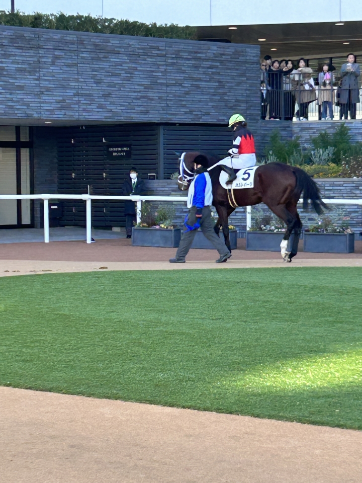 2024/1/8 3歳1勝クラス ホルトバージ