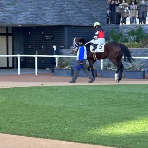 2024/1/8 3歳1勝クラス