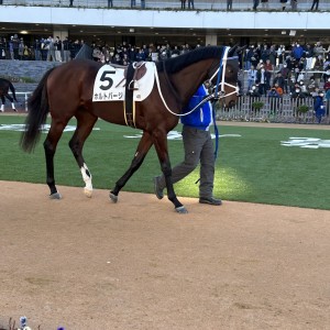 2024/1/8 3歳1勝クラス