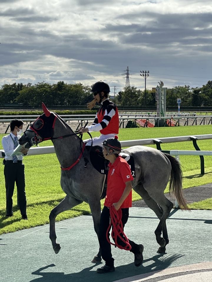 2024/10/5 松浜特別(1勝クラス) ゴールドブレス