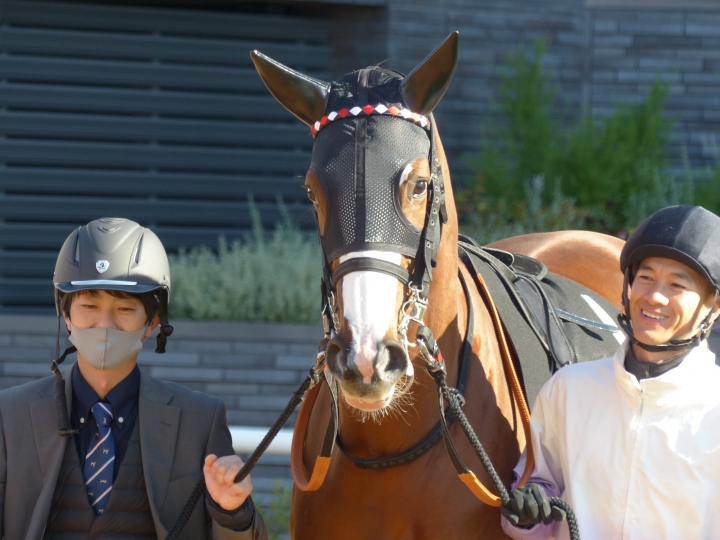 2023年11月 スウィープフィート