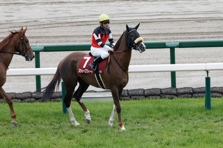 2025/4/12 阪神 阪神牝馬ステークス(G2) スウィープフィート