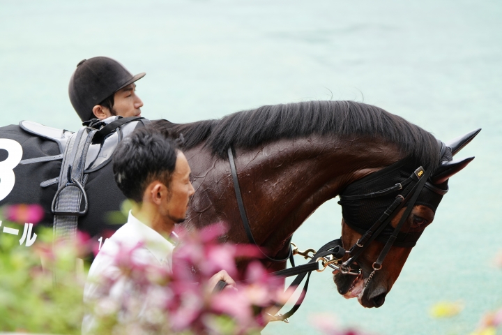 2024/9/15 納屋橋S(3勝クラス) アルセナール