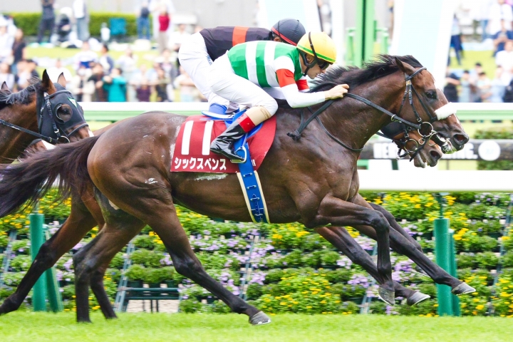 2024/10/6 毎日王冠(G2) シックスペンス