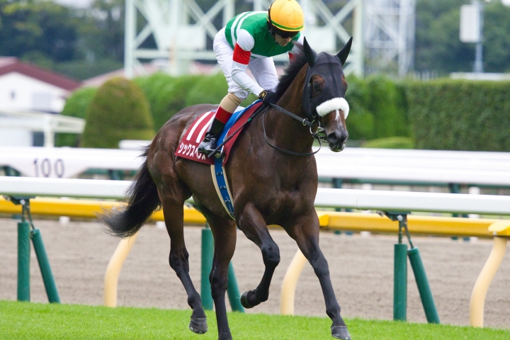 2024/10/6 毎日王冠(G2) シックスペンス