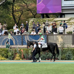 2023/10/28 2歳新馬(牝)