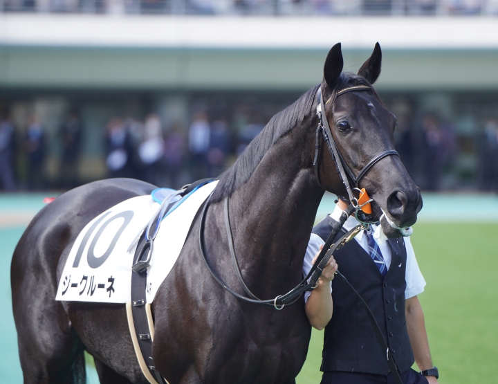 2023/10/28 2歳新馬(牝) ジークルーネ