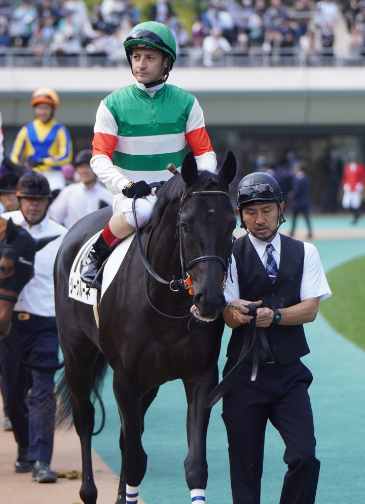 2023/10/28 2歳新馬(牝) ジークルーネ