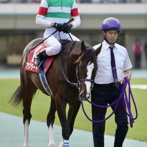 2023/11/4 京王杯2歳S(G2)