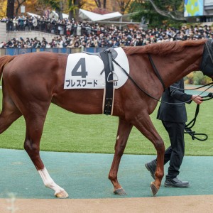 2023/11/26 2歳新馬