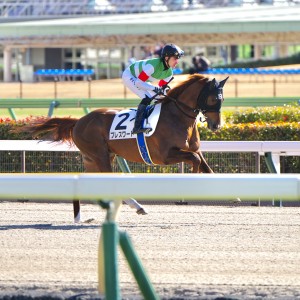 2024/1/27 3歳1勝クラス
