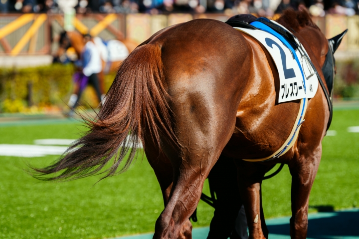 2024/1/27 3歳1勝クラス ブレスワード