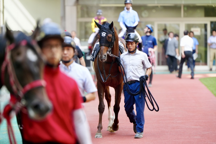 2025/6/29 鶴ヶ城S(3勝クラス) ブレスワード