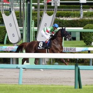 2025/9/21 内房S(3勝クラス)