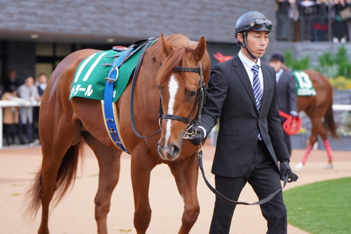 2024/1/8 シンザン記念(G3) シトラール