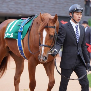 2024/1/8 シンザン記念(G3)