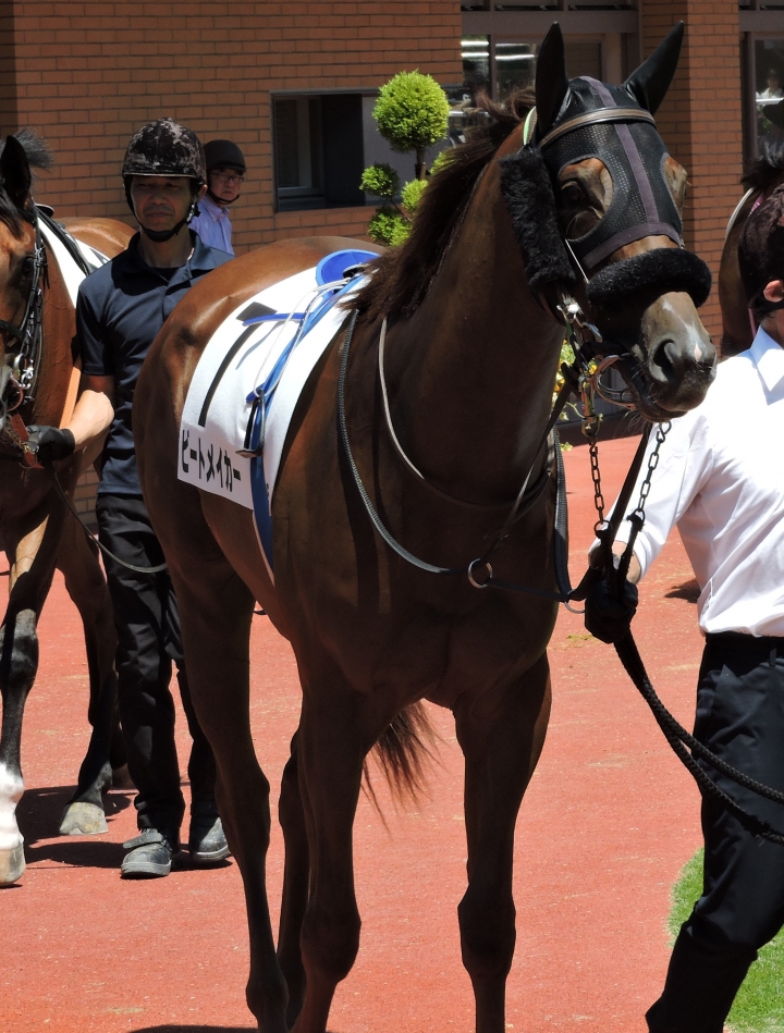 2023/8/13 2歳新馬 ビートメイカー