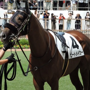 2023/9/24 2歳未勝利