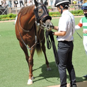 2023/9/24 2歳未勝利