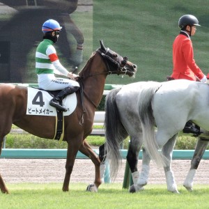 2023/9/24 2歳未勝利