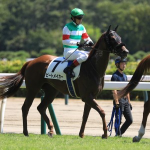 2023.8.13 新潟5R 2歳新馬