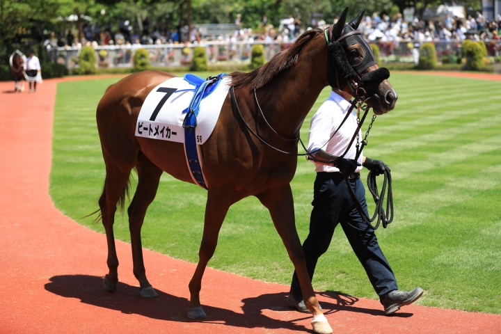 2023.8.13 新潟5R 2歳新馬 ビートメイカー