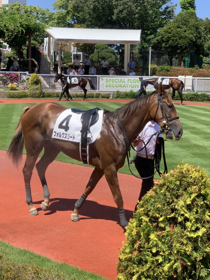 2023/8/13 2歳未勝利 フォルクスリート