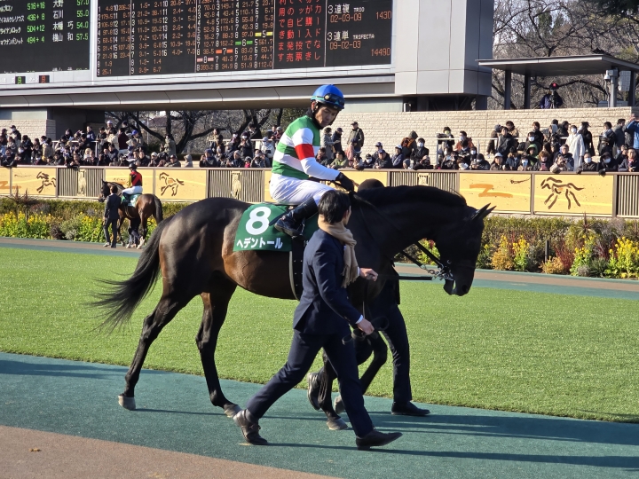 ダイヤモンドステークス ヘデントール