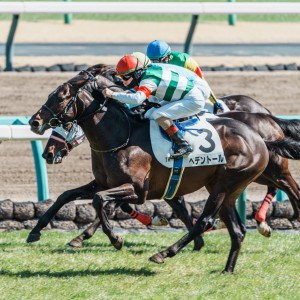 2024/3/9 3歳1勝クラス