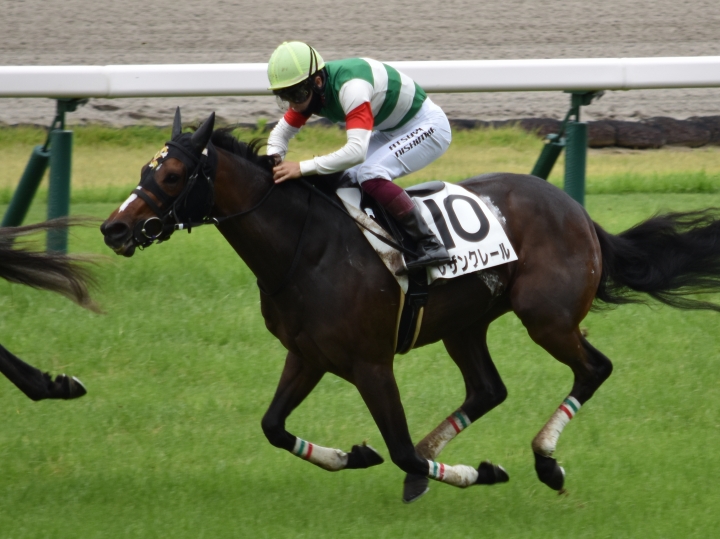 ２戦目最後の直線 レザンクレール