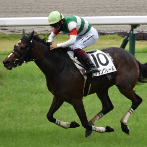 ２戦目最後の直線