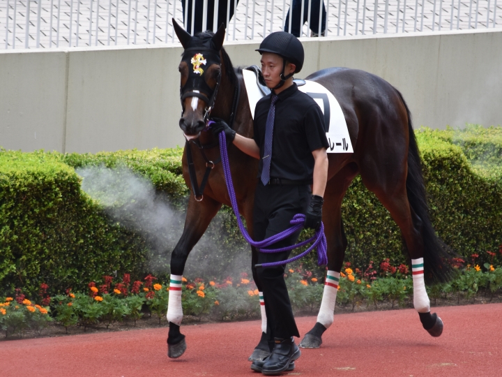 ３戦目パドック レザンクレール