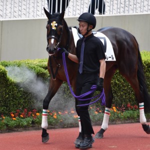 ３戦目パドック