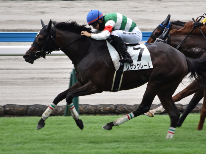 ３戦目最後の直線 レザンクレール