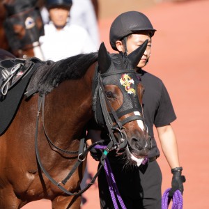 2024/10/12 朝日岳特別(1勝クラス)