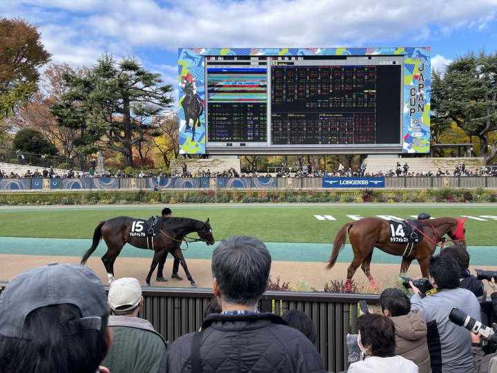 2023年11月 マルチャレアル