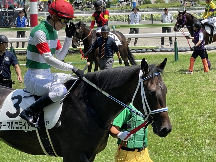 新馬 アーマルコライト